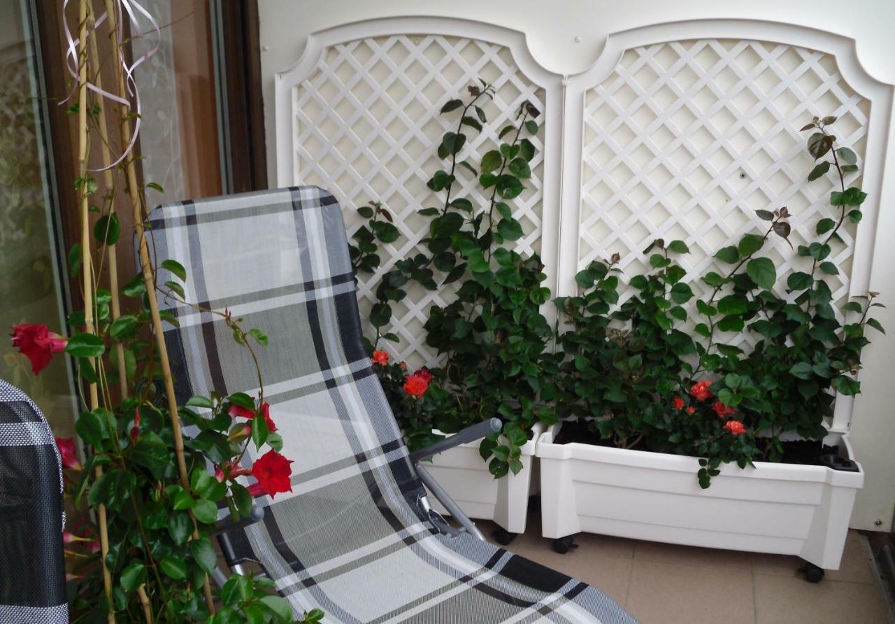 Ferienwohnung Rothe Dippoldiswalde Dış mekan fotoğraf
